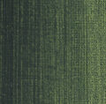Sennelier Huilexf Couleurs 203 Sennelier Huilexf Couleurs 203