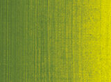 Sennelier Huilexf Couleurs 805