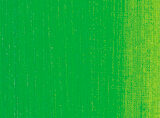 Sennelier Huilexf Couleurs 831