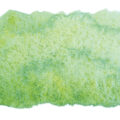 Schmincke Aquarelle Granulation Couleur 14933 Auen