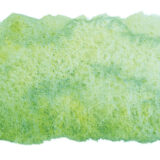 Schmincke Aquarelle Granulation Couleur 14933 Auen
