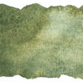Schmincke Aquarelle Granulation Couleur 14944 Wald