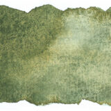 Schmincke Aquarelle Granulation Couleur 14944 Wald