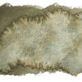 Schmincke Aquarelle Granulation Couleur 14945 Wald