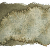 Schmincke Aquarelle Granulation Couleur 14945 Wald