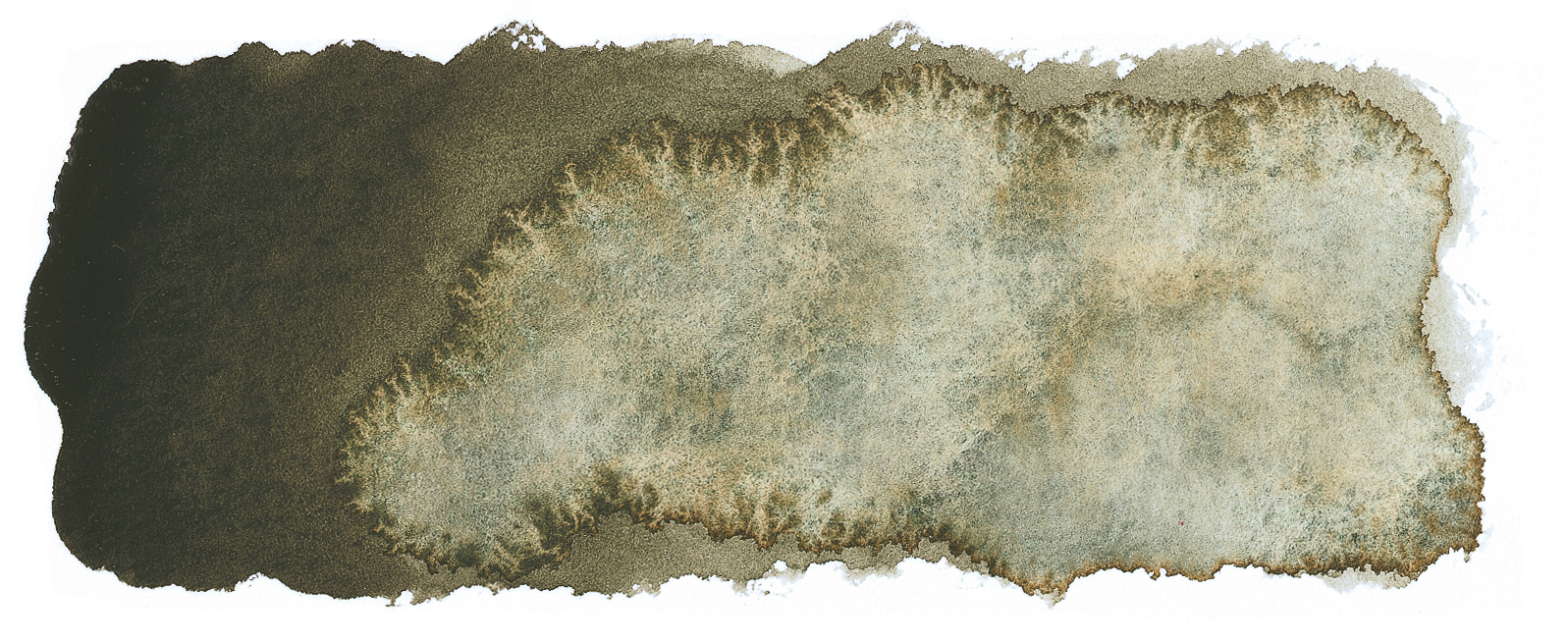 Schmincke Aquarelle Granulation Couleur 14945 Wald