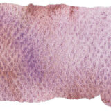Schmincke Aquarelle Granulation Couleur 14971 Galaxie