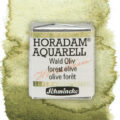 Schmincke Aquarelle Granulation Demigodet Wald Oliv 14941044 Wischer