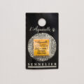 Sennelierl Aquarelle Demi Godet N131541 252