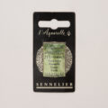 Sennelierl Aquarelle Godet 131551.213