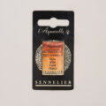 Sennelierl Aquarelle Godet 131551.257