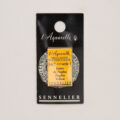 Sennelierl Aquarelle Godet 131551.567