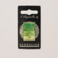 Sennelierl Aquarelle Godet 131551.805