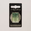 Sennelierl Aquarelle Godet 131551.815