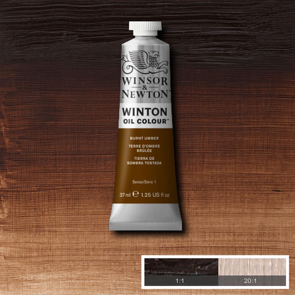 huile Winton terre d'ombre brûlée Winsor & Newton 076